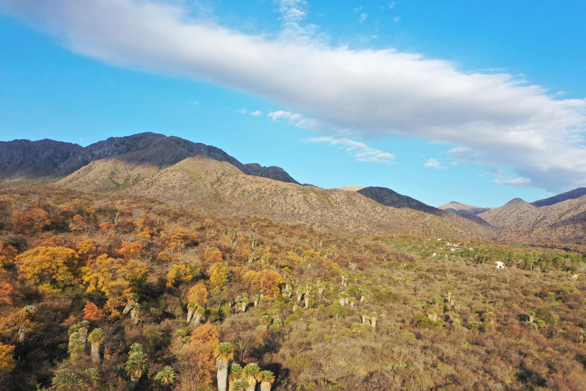 Lotes de 2500 m² Barrio Labanda/ Capilla del Monte 1