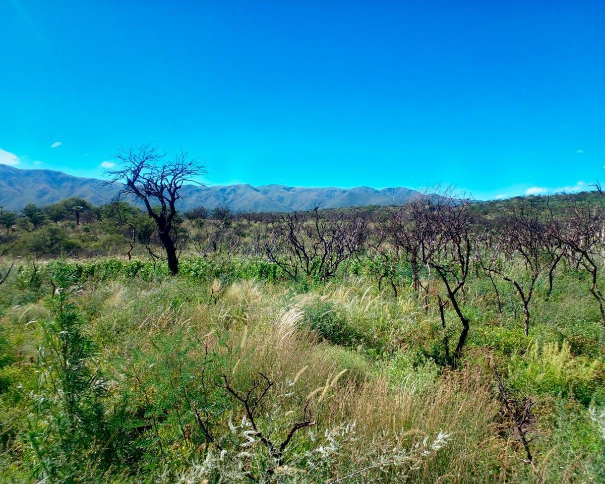 Oportunidad / Campo de 4 Ha Zona Urbana / Capilla del Monte 1