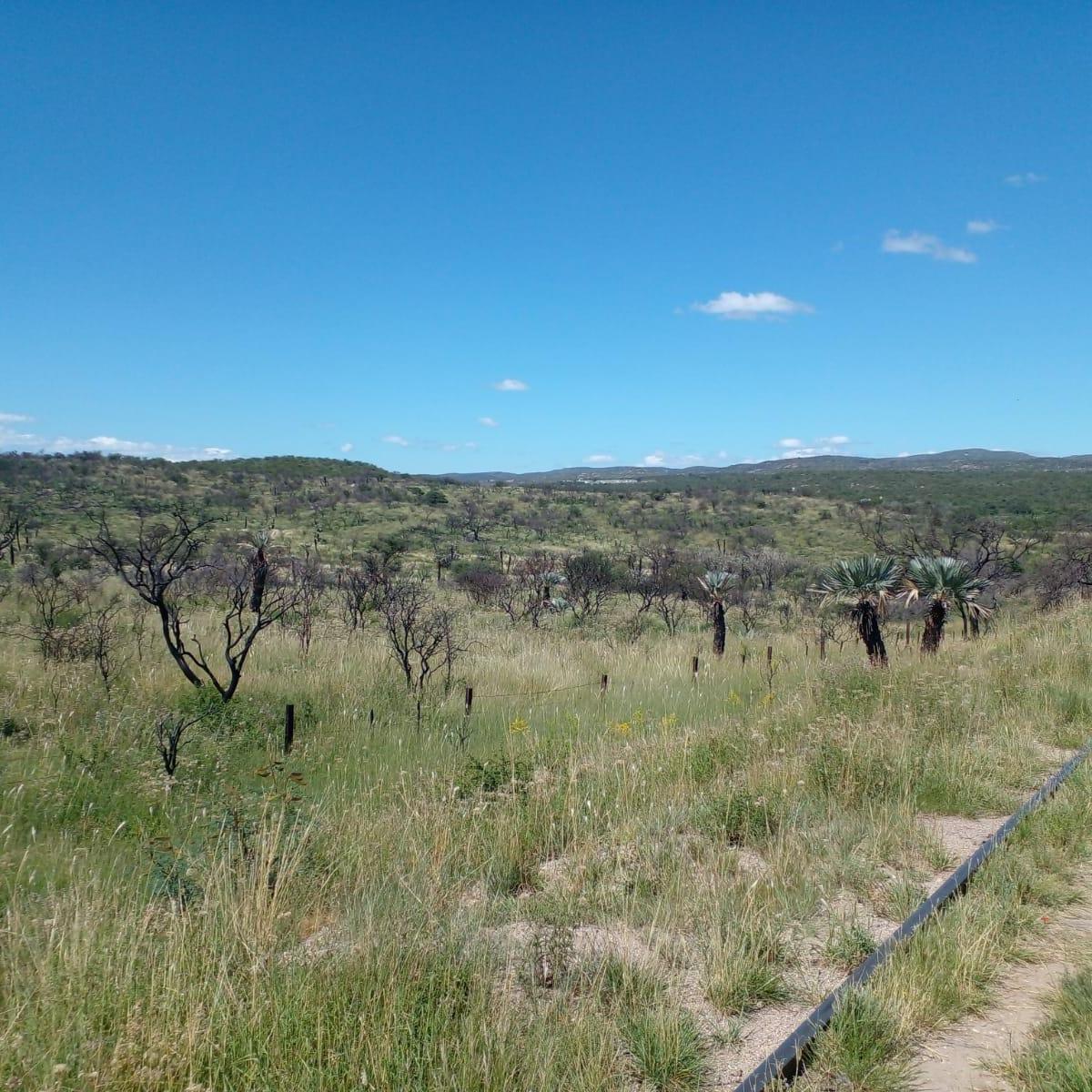 Oportunidad / Campo de 4 Ha Zona Urbana / Capilla del Monte 4