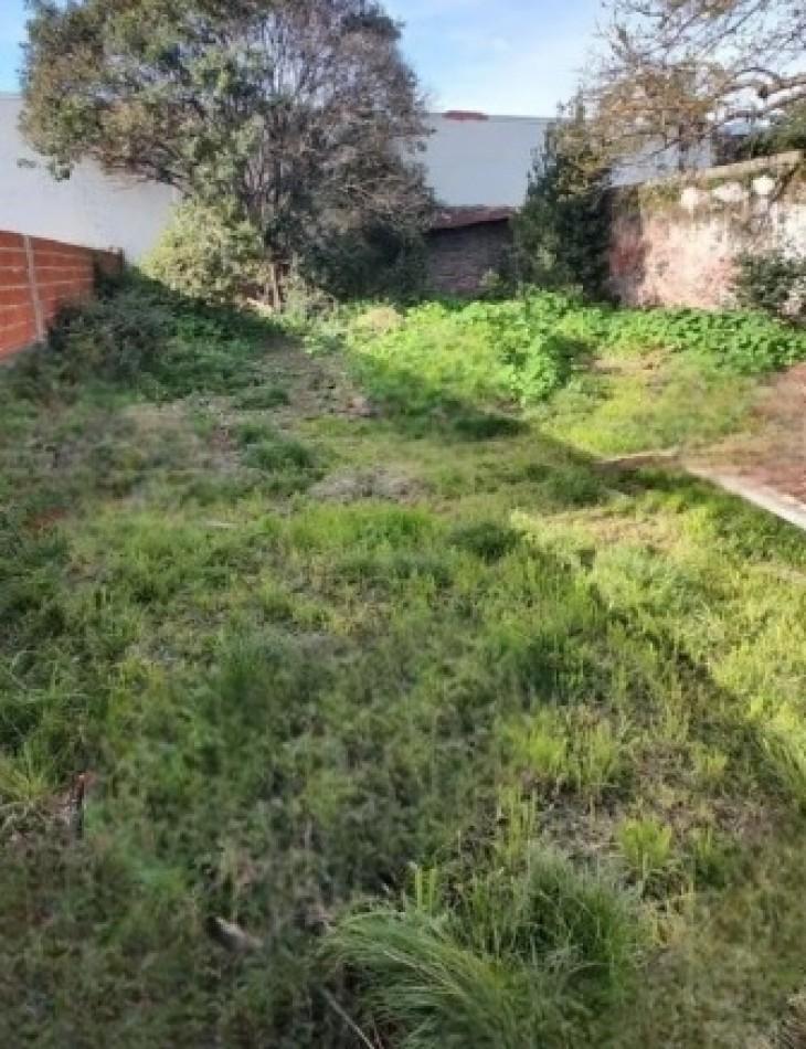 Foto de LOTE DE 11,69MTS DE FRENTE X 39.65MTS DE FONDO. SUPERFICIE TOTAL DE, imagen 3