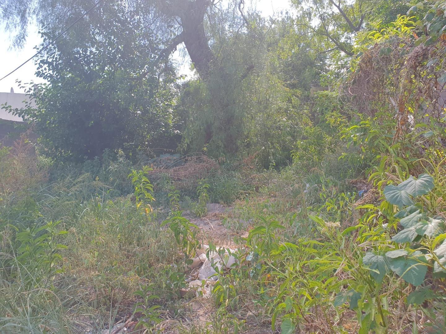 Terreno Frente Cañada