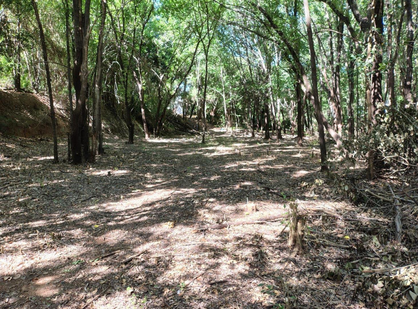 Foto de Lote - Villa Warcalde, imagen 1