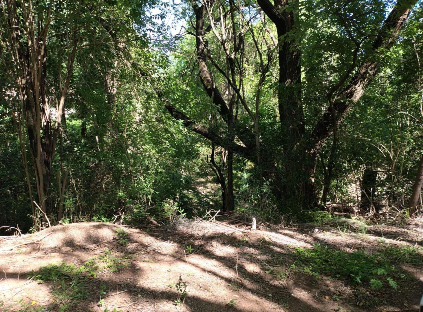 Foto de Lote - Villa Warcalde, imagen 3