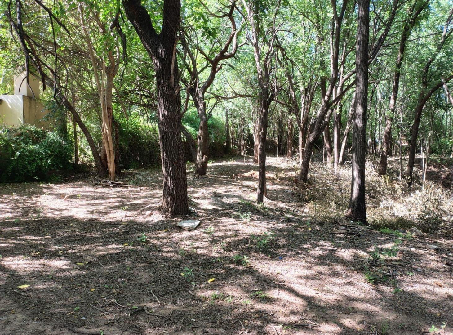 Foto de Lote - Villa Warcalde, imagen 2