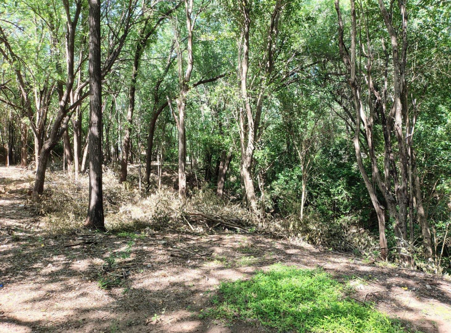 Foto de Lote - Villa Warcalde, imagen 4