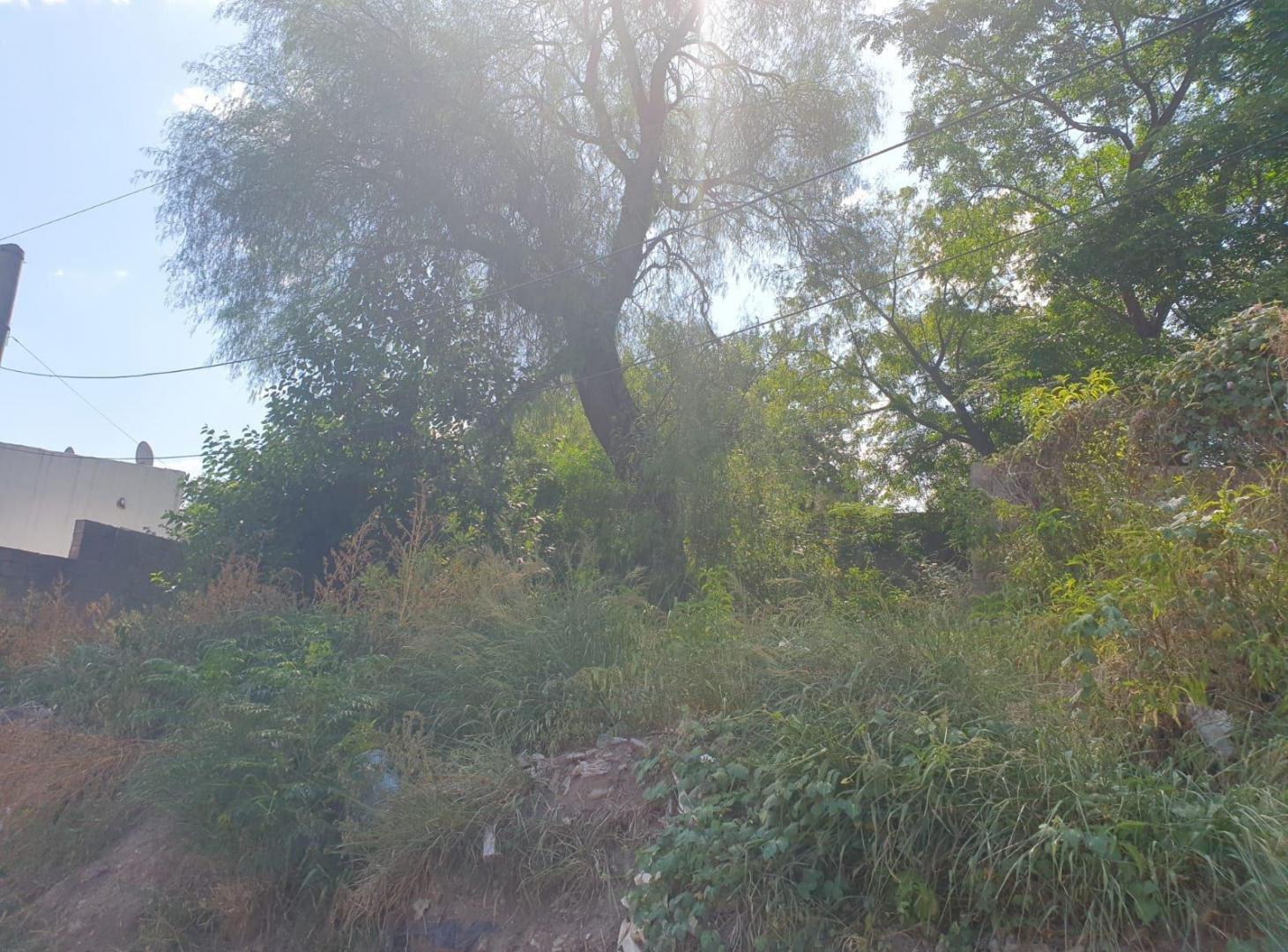Foto de Terreno - Bella Vista, imagen 4