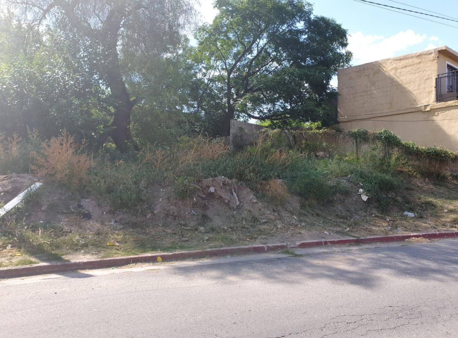 Foto de Terreno - Bella Vista, imagen 2
