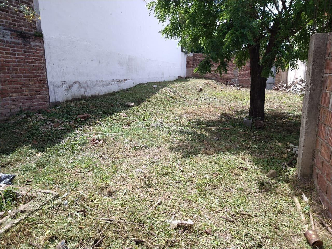 Foto de Terreno - Cerro de Las Rosas., imagen 4