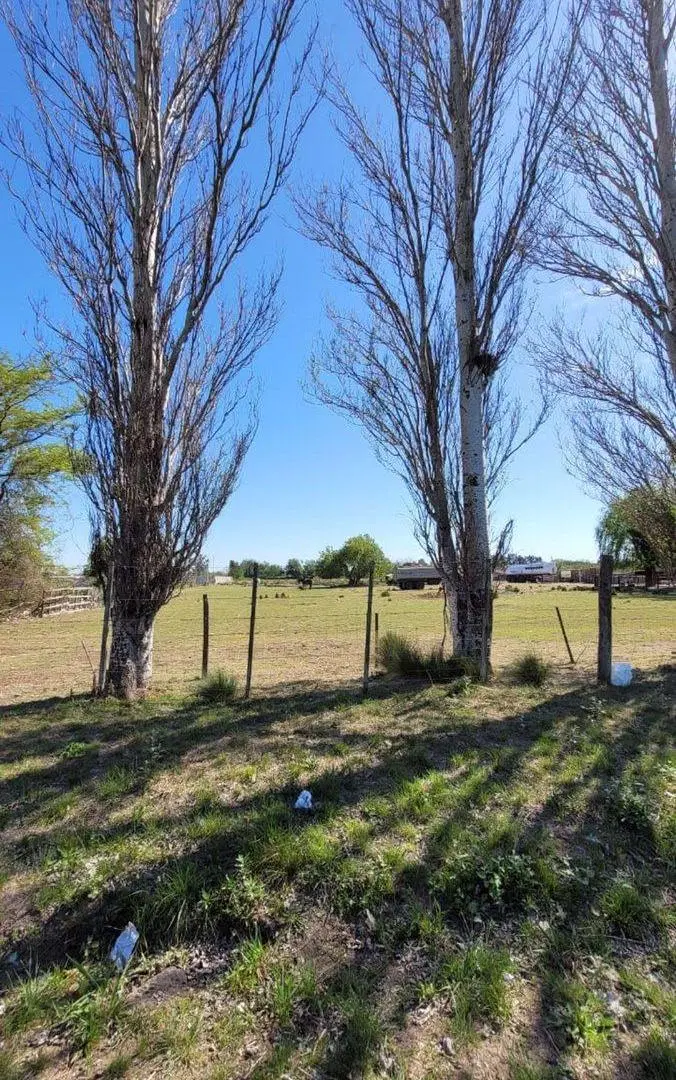 Venta - Amplio Lote Cullen y Ugarte 14.452m2 3