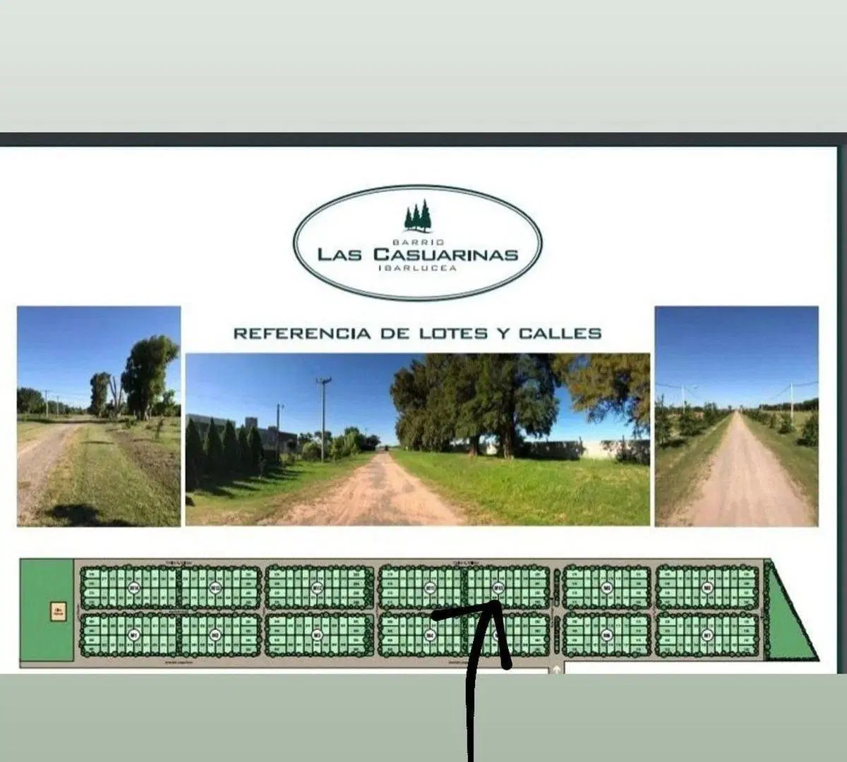 VENTA LOTE 208 LAS CASUARINAS IBARLUCEA 459MTS2 4