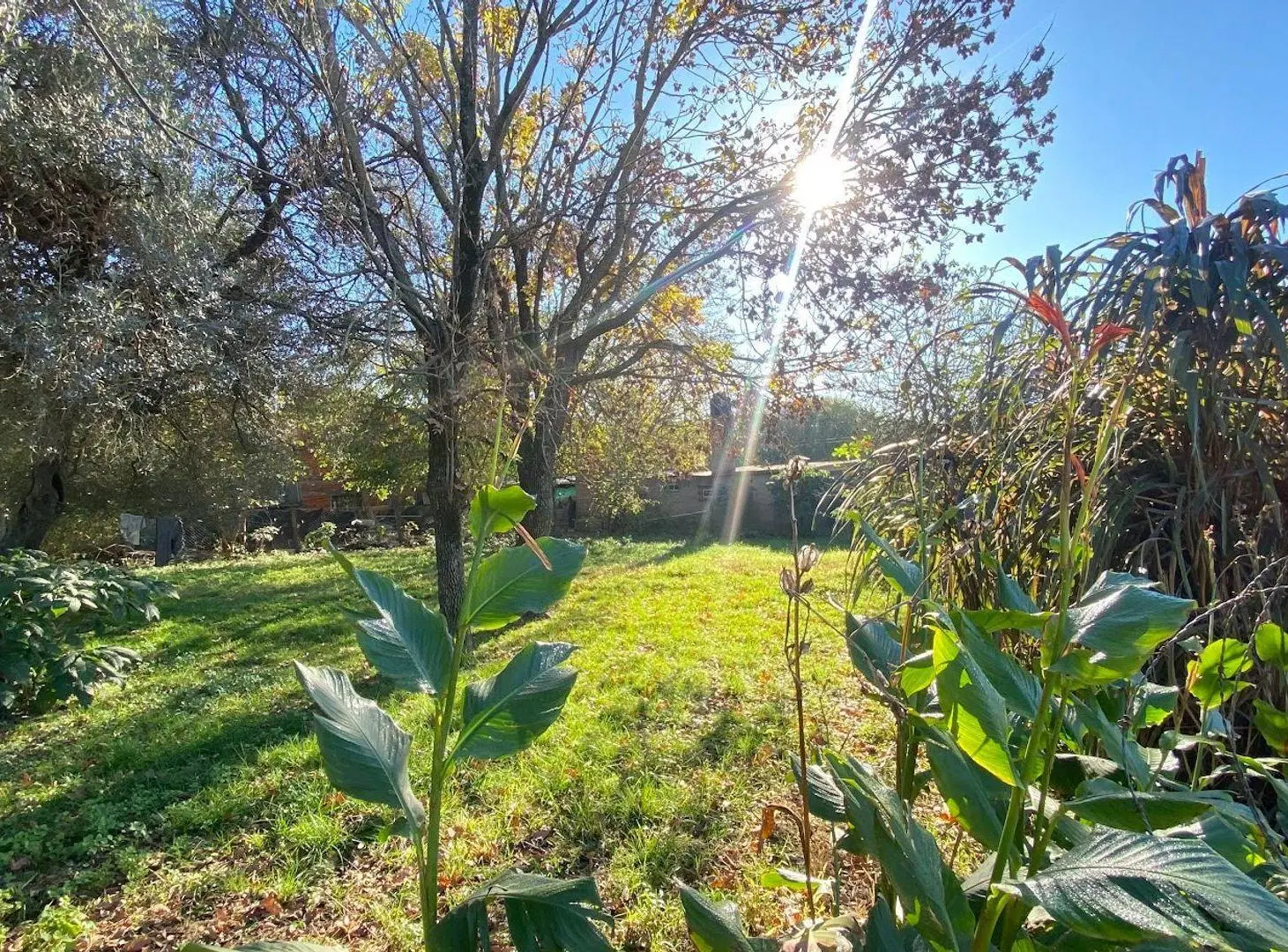 Lote 250 mt2 en venta Oliveros 5