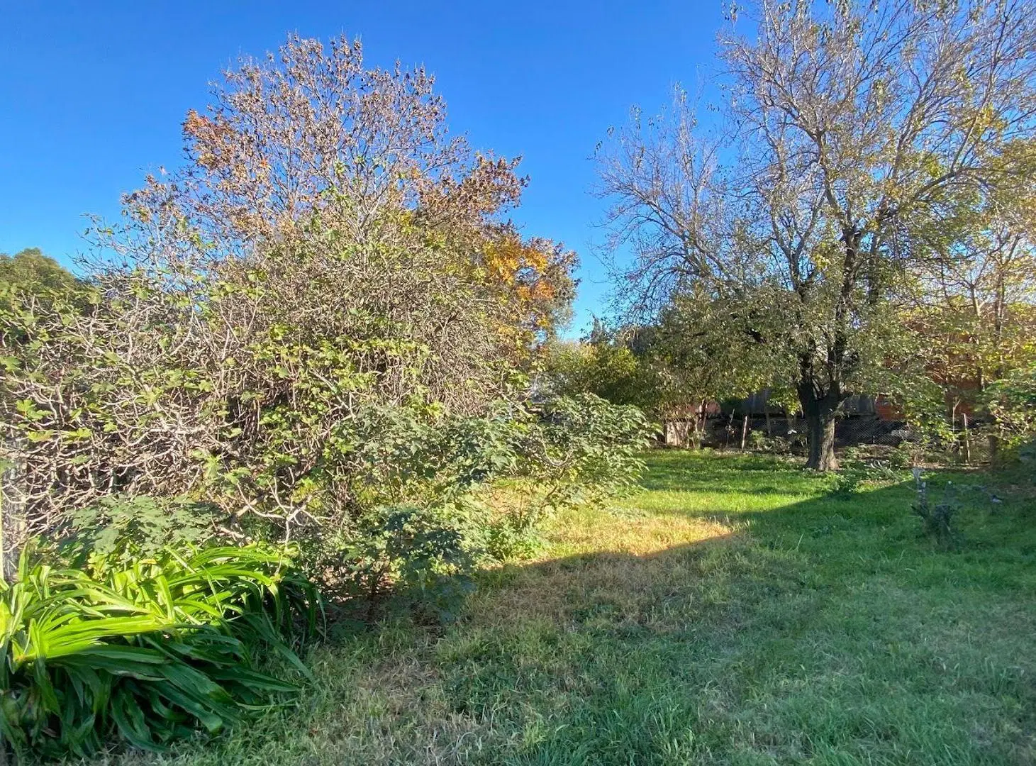 Lote 250 mt2 en venta Oliveros 2