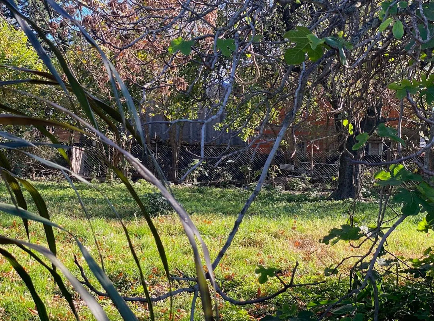 2 lotes contiguos en Venta en Oliveros 2