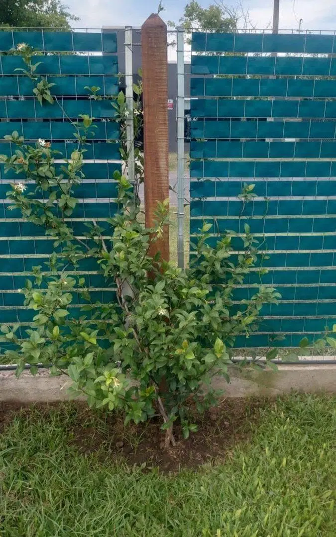 TERRENO EN VENTA CASUARINAS PARQUIZADO retasado 4