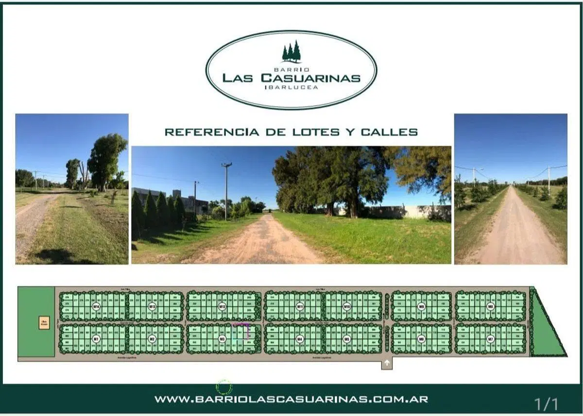 TERRENO EN VENTA CASUARINAS PARQUIZADO retasado 3
