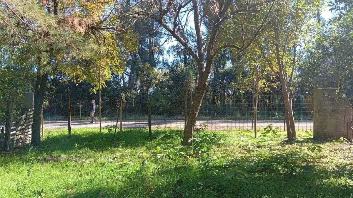Lote 624 m2 en venta. Ibarlucea 4