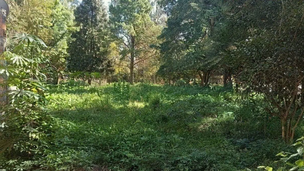 Lote 624 m2 en venta. Ibarlucea 5