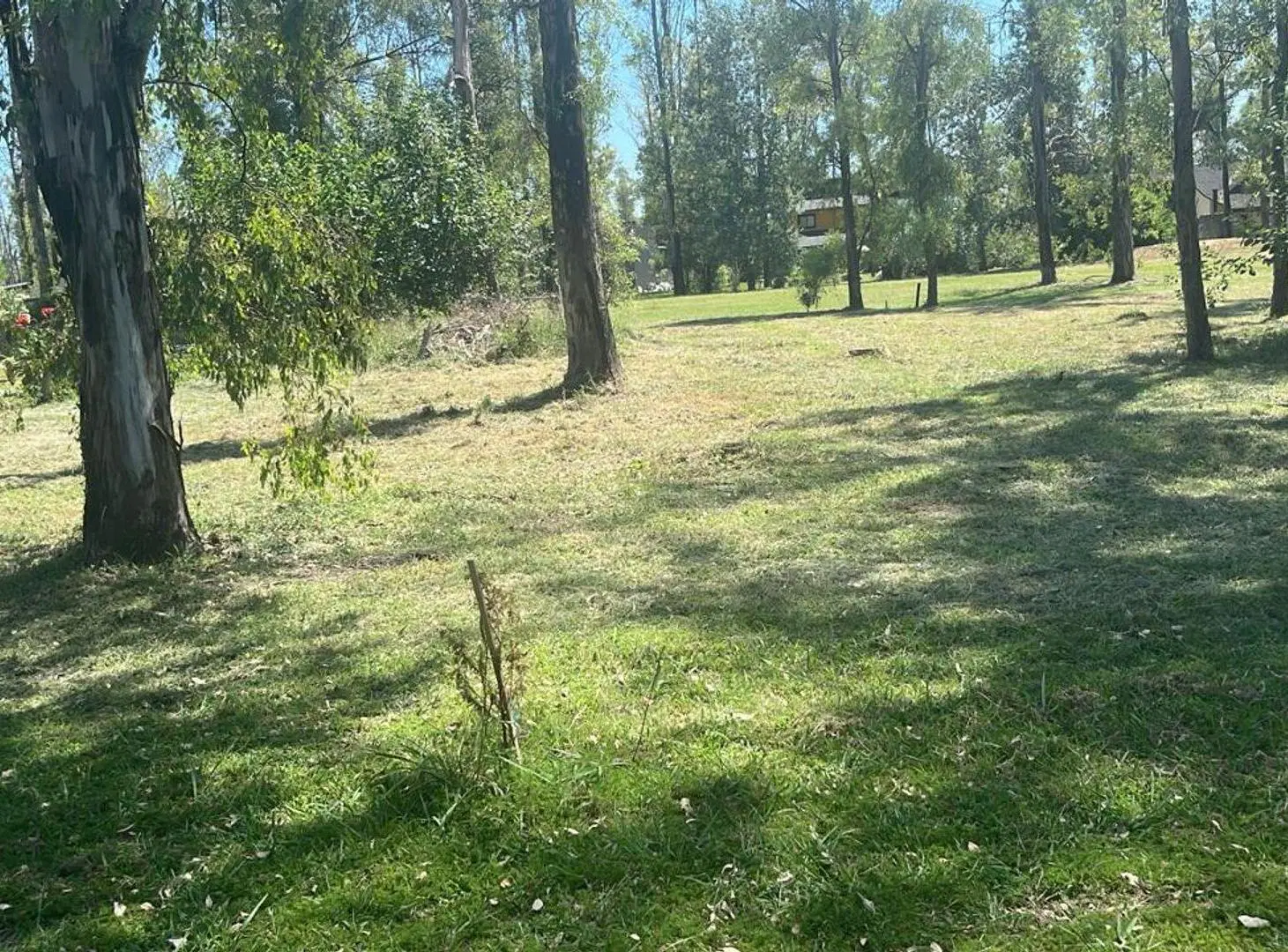 VENTA TERRENO 700 M2 - CAMPO TIMBÓ - FINANCIACIÓN 5