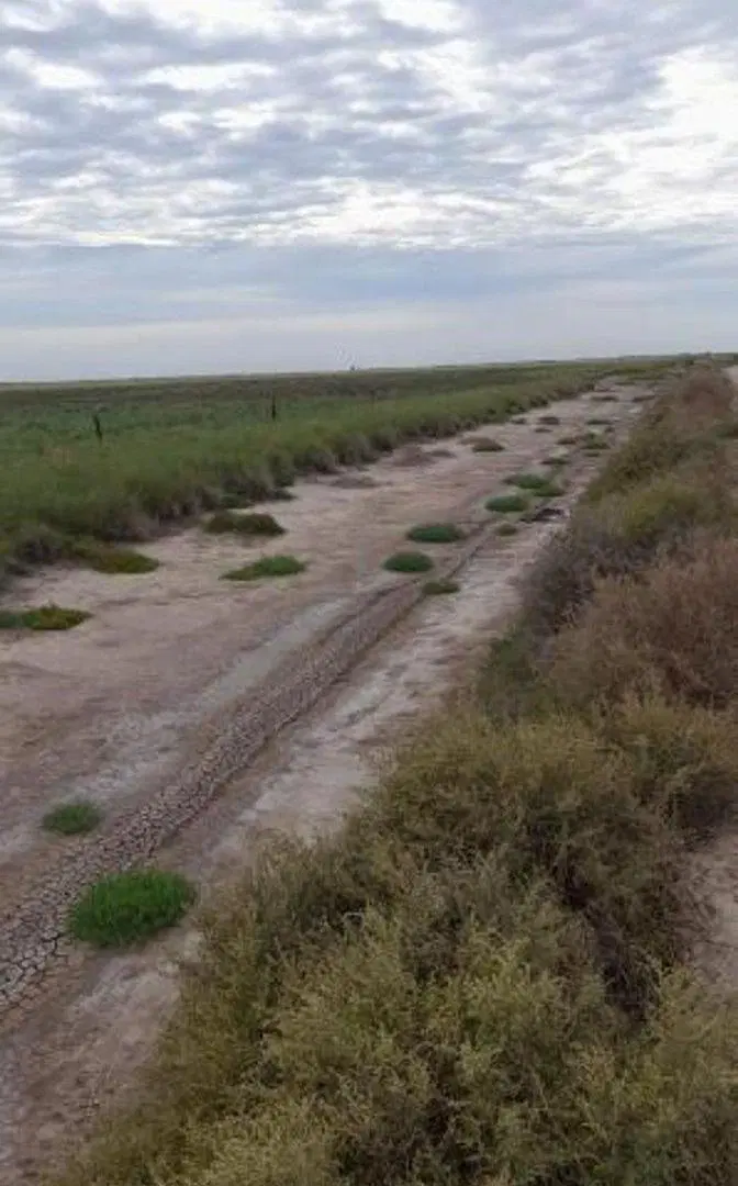 CAMPO GANADERO 2200 HECTAREAS EN LOGROÑO 3