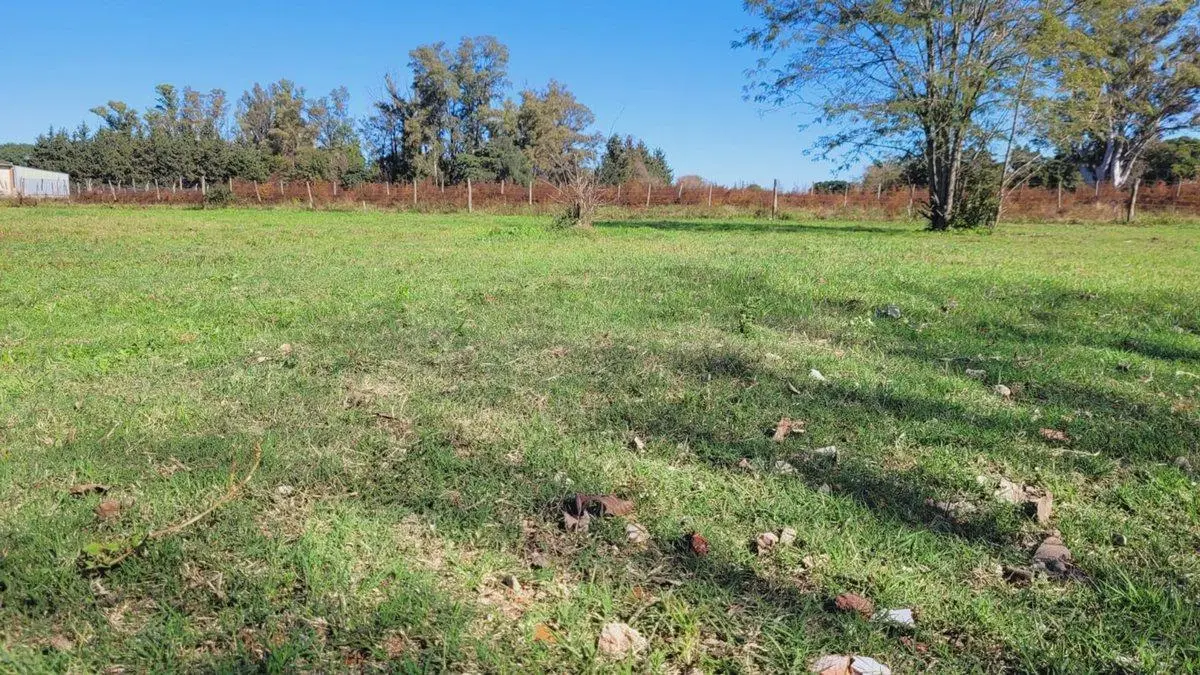 Venta Lote en Oliveros Sup 267m2 - Lote M. 2