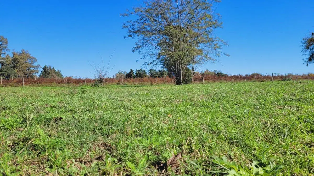 Venta Lote en Oliveros Sup 267m2 - Lote M. 4