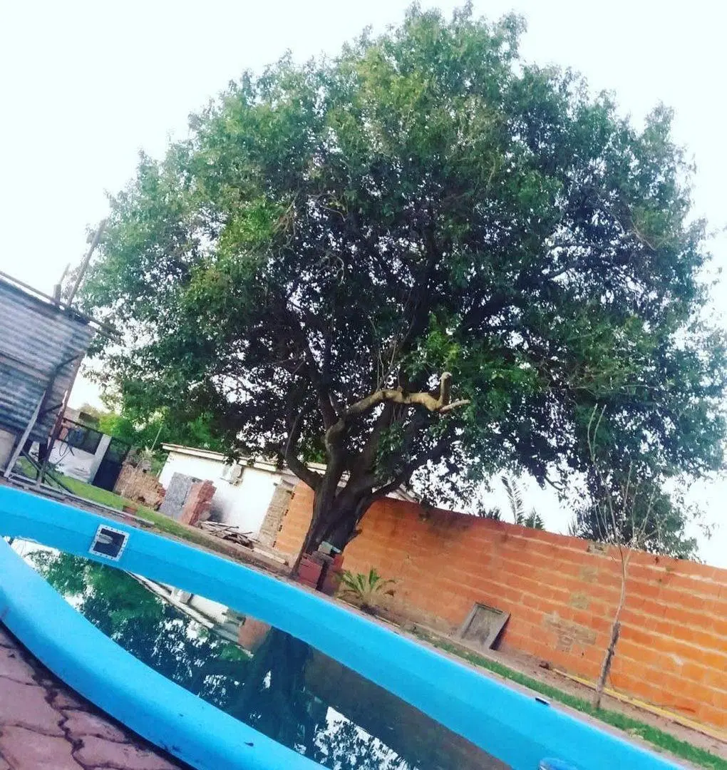 Casa con pilet en puerto Gaboto 4