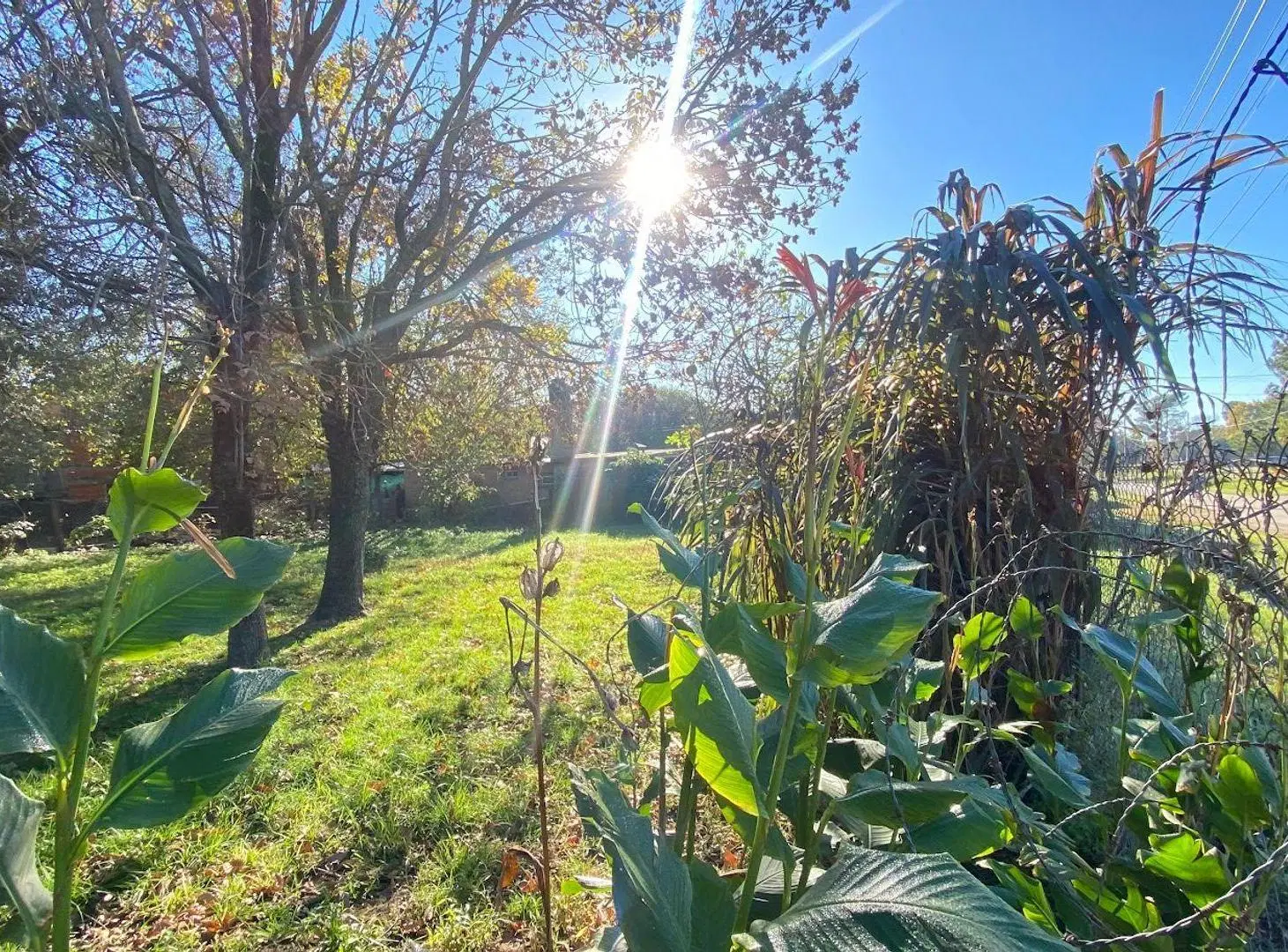 Lote 250 mt2 en venta Oliveros 4