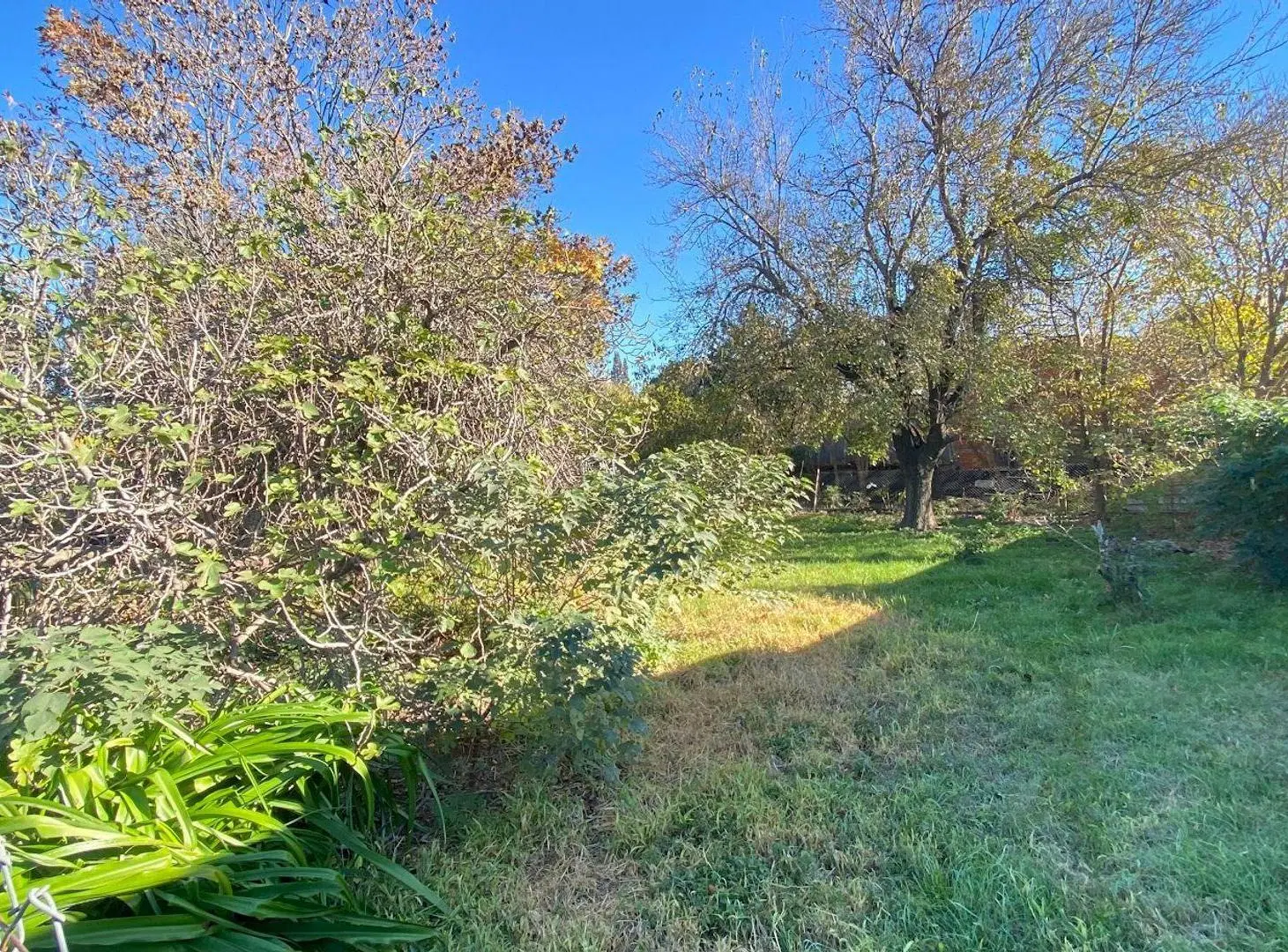 Lote 250 mt2 en venta Oliveros 5