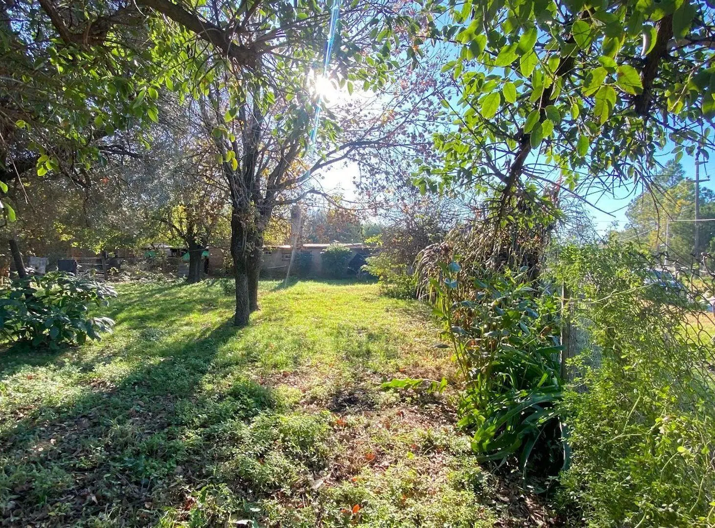 2 lotes contiguos en Venta en Oliveros 4