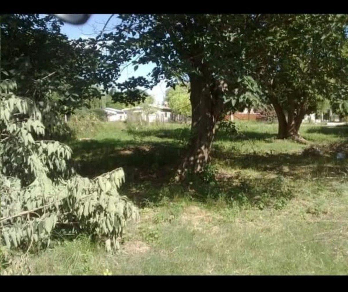 Foto de VENTA TERRENO 1250m² - PUERTO GABOTO, imagen 4