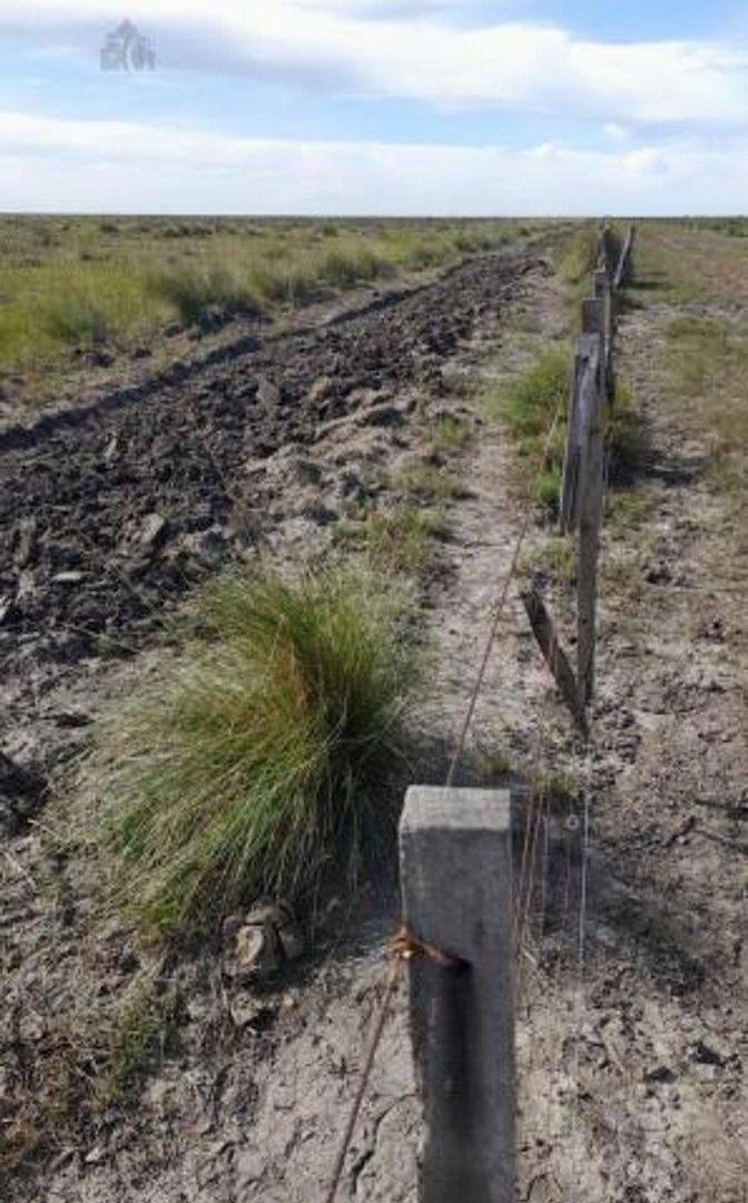 Foto de CAMPO GANADERO 2200 HECTAREAS EN LOGROÑO, imagen 4