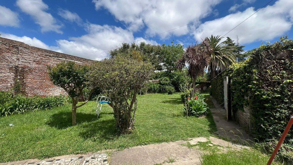 Foto de VENTA IMPORTANTE PROPIEDAD EN PEYRANO, imagen 4