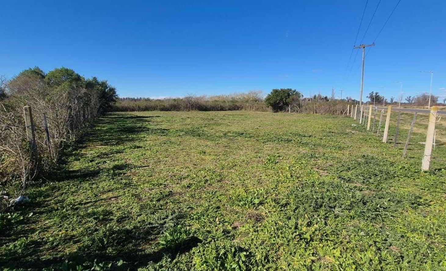 Foto de En Venta Terreno sobre Ruta Nacional 11. Oliveros, imagen 4