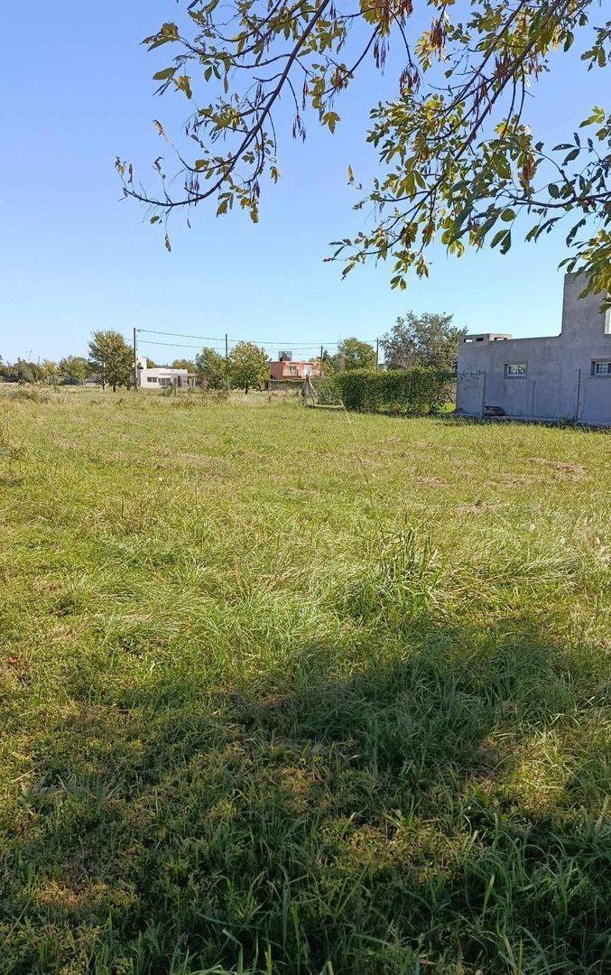 Foto de VENTA TERRENO PUNTA CHACRA SOBRE AUTOPISTA 753 M2, imagen 4