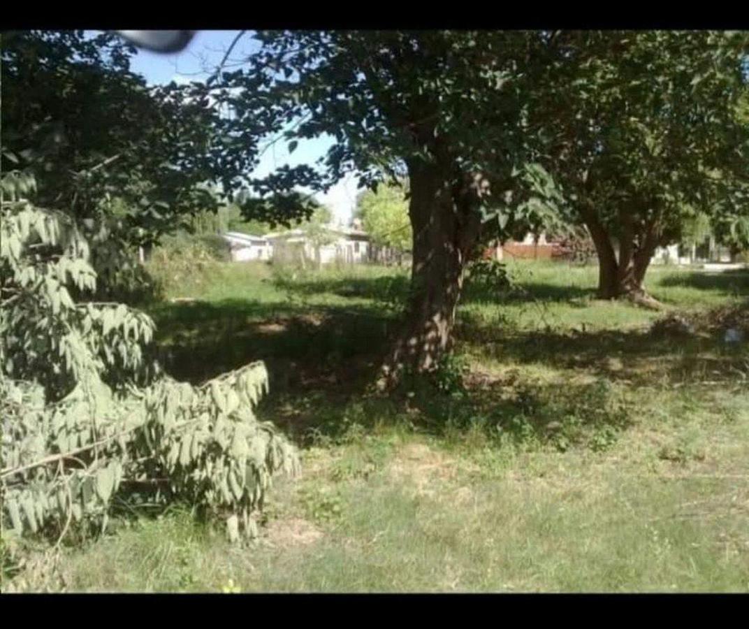 Foto de VENTA TERRENO 1250m² - PUERTO GABOTO, imagen 3