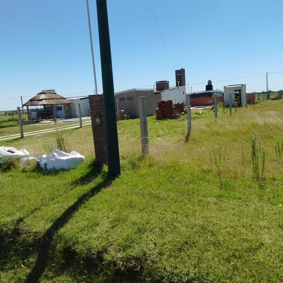 Foto de Terreno con pileta y cuarto de guardado, imagen 3