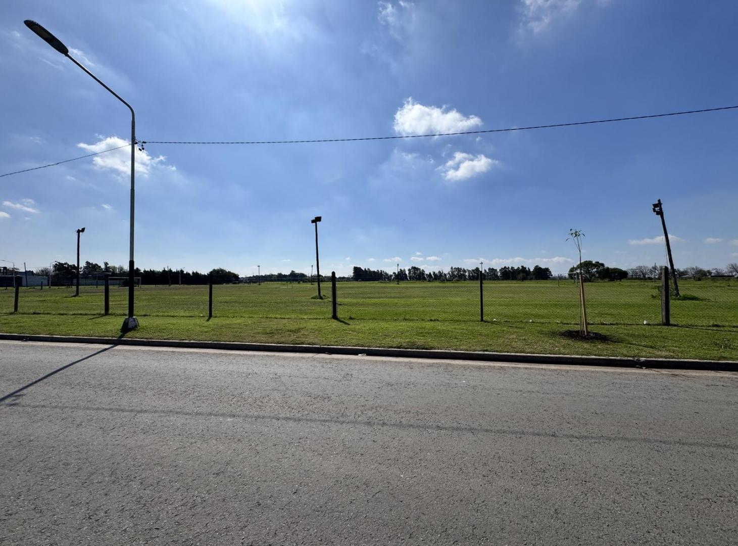 Foto de Venta Campo en Timbues, imagen 3