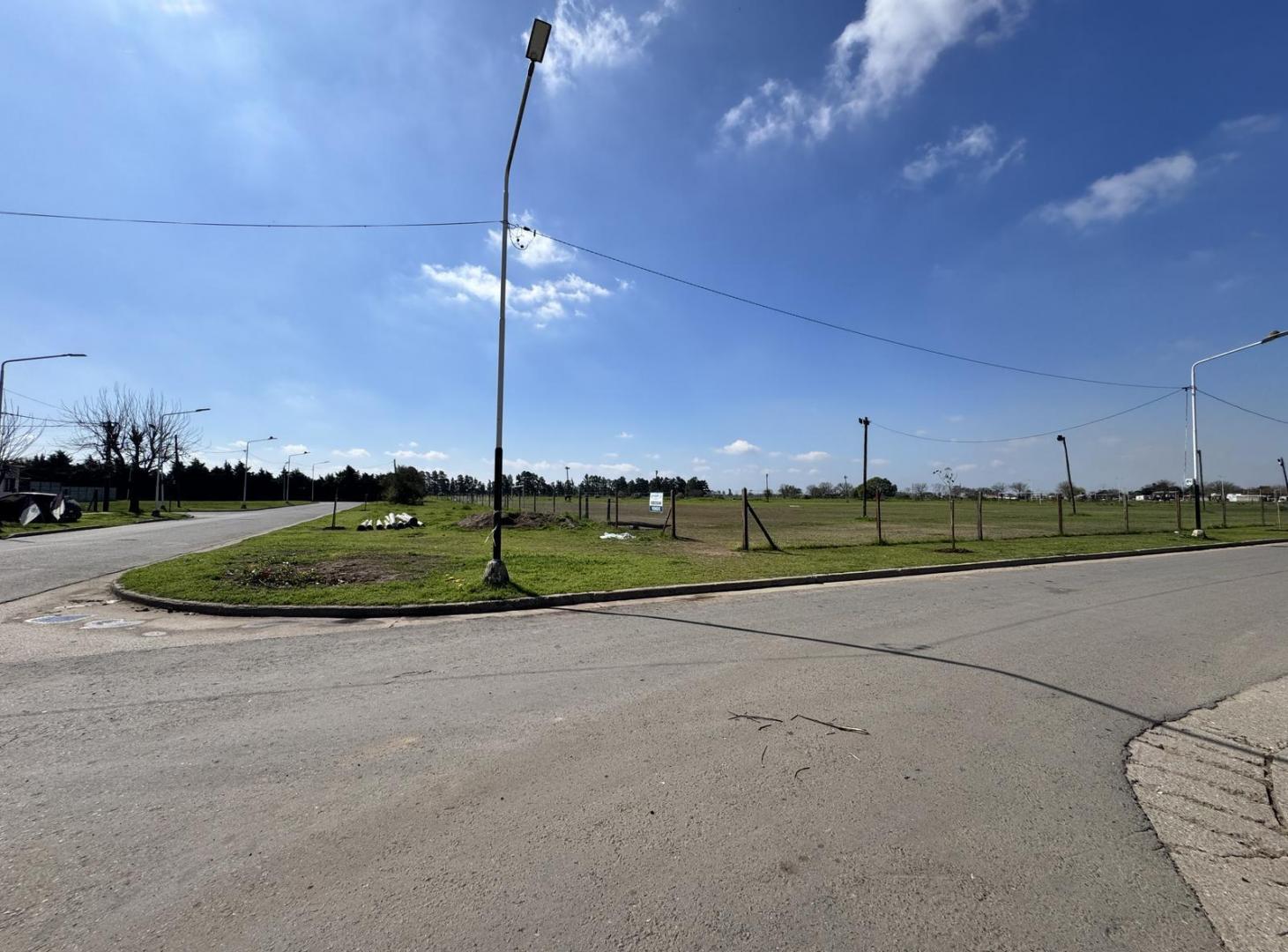 Foto de Venta Campo en Timbues, imagen 4