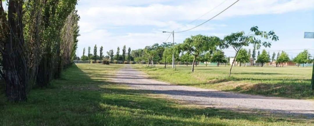Foto de Terreno en Las Casuarinas, imagen 3