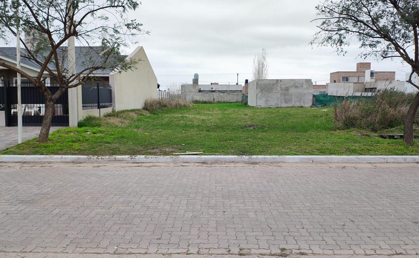 Foto de Terreno en Alvear, imagen 3