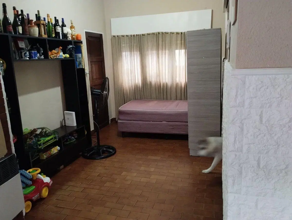 Propiedad Multifuncional con Local, Garage 2 casas 3