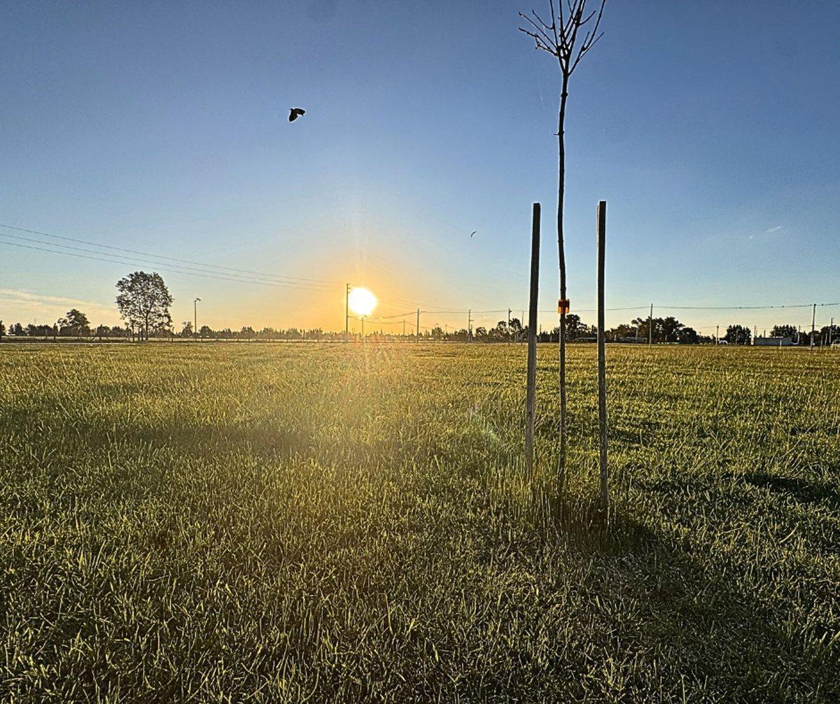VENTA LOTE FINCAS JOVEN EN SAN VICENTE 620 MTS.