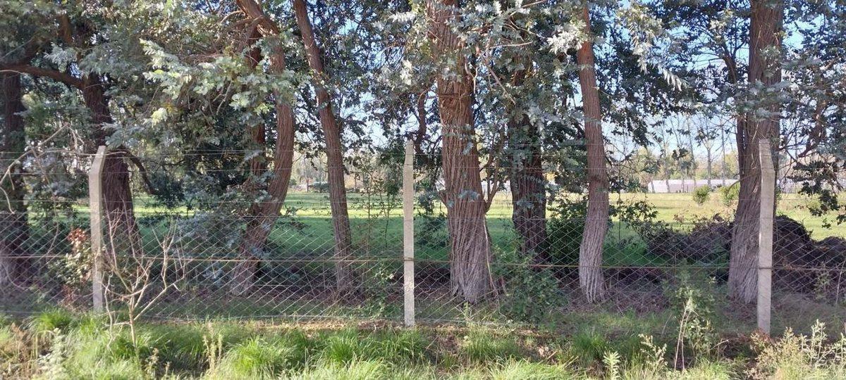 VENTA DE LOTE EN ALEJANDRO KORN DE 10618 M2