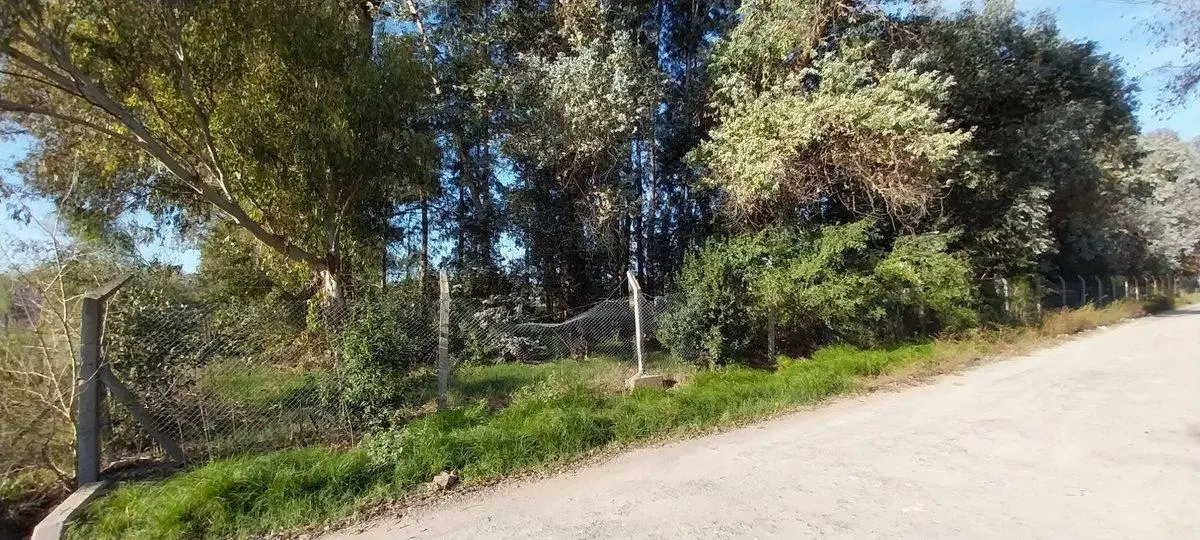 VENTA DE LOTE EN ALEJANDRO KORN DE 10618 M2 2