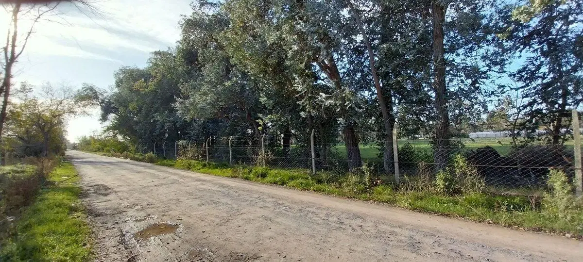 VENTA DE LOTE EN ALEJANDRO KORN DE 10618 M2 3