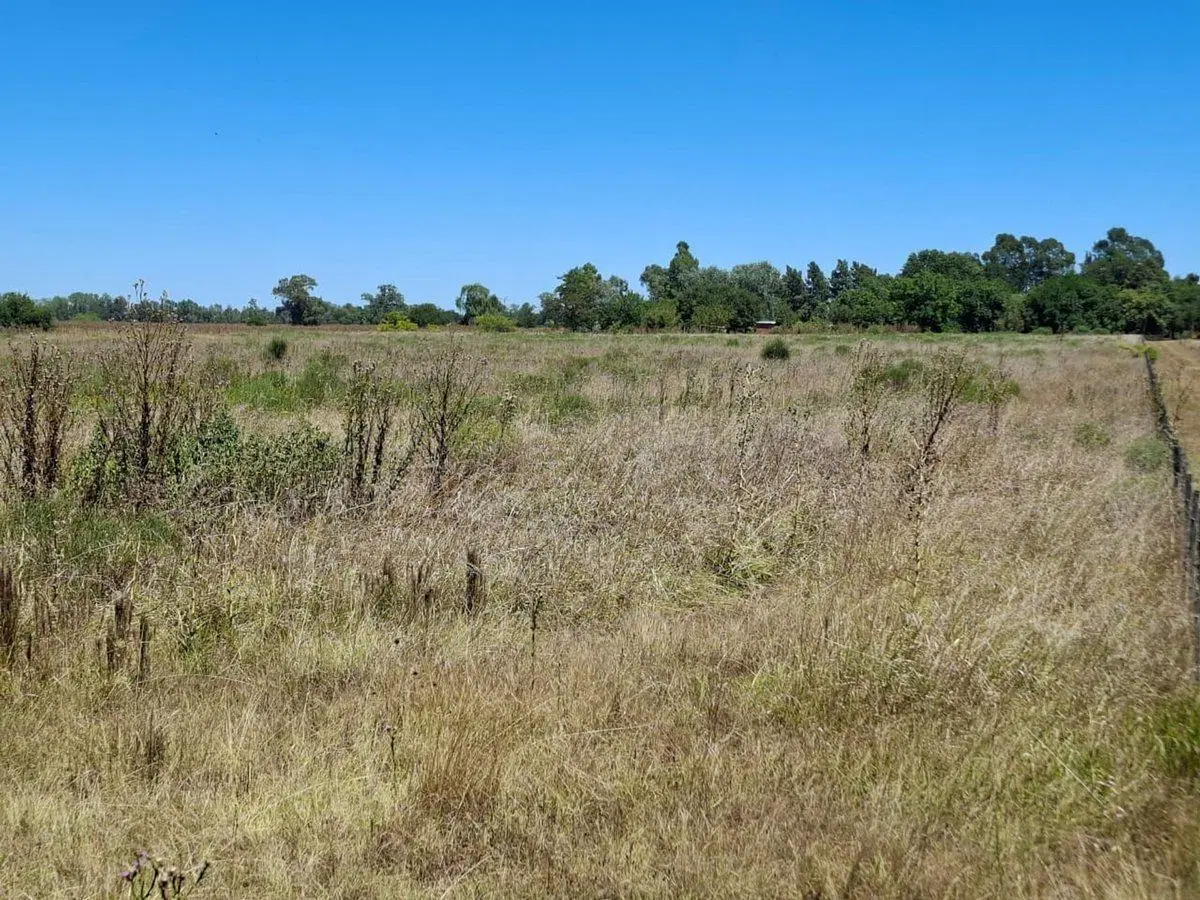 Venta de 2.6 Hectáreas en San Miguel del Monte 3