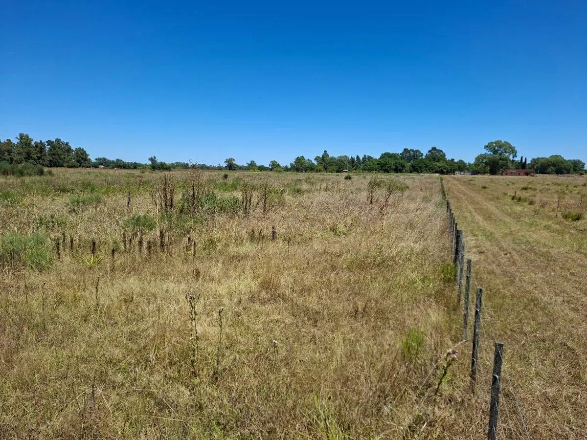 Venta de 2.6 Hectáreas en San Miguel del Monte 2