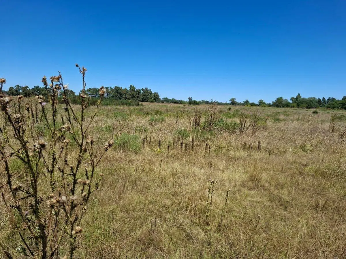 Venta de 2.6 Hectáreas en San Miguel del Monte 4