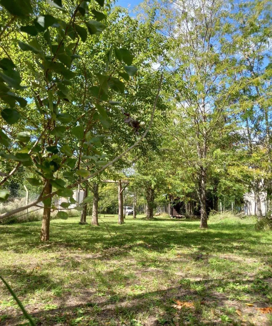 VENTA IMPORTANTE LOTE 1200 M LAS ACACIAS  BRANDSEN 3