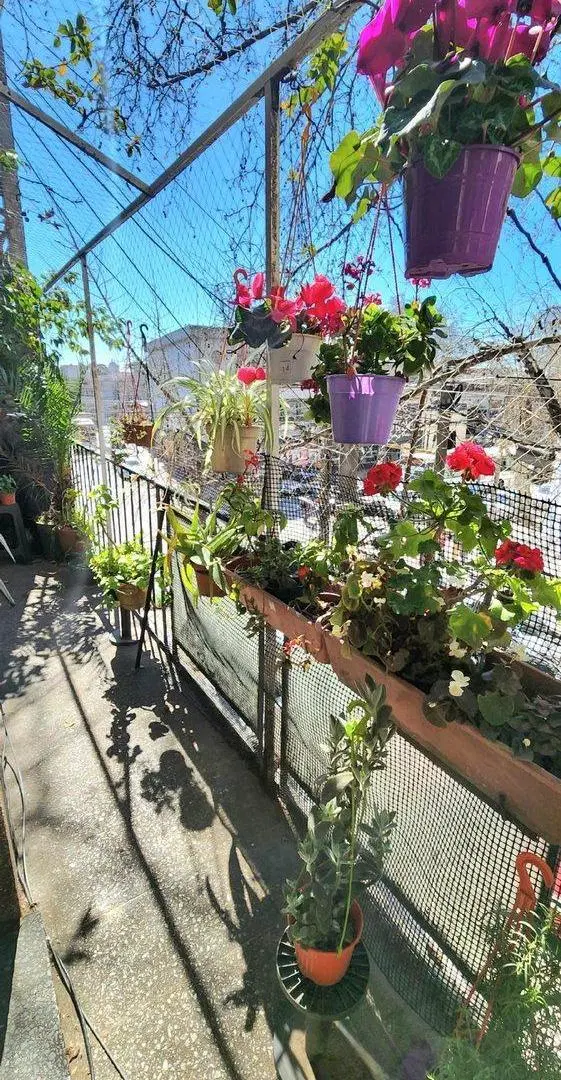 VENTA 3 AMB CENTRO DE RAMOS MEJIA APTO PROFESIONAL 5